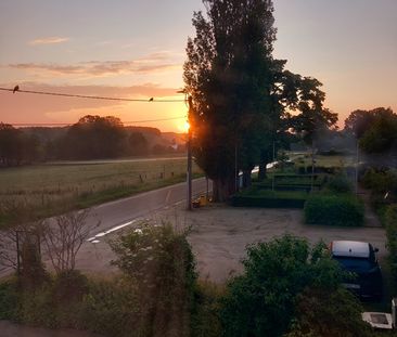 Huis met yurt, bos, kat en tuin zoekt medebewoner - Foto 4