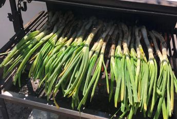 Extraordinaria casa de lujo en alquiler en Vallvidrera