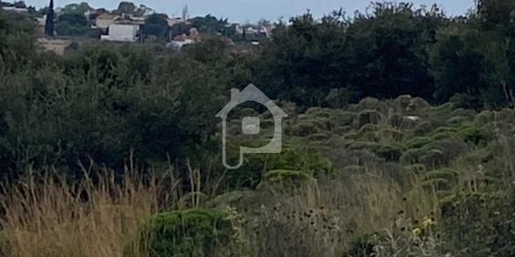 Μονοκατοικία 70 τ.μ. προς ενοικίαση - Photo 3