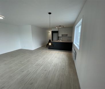 820-203 très beau 4 1/2 (Mars) rue Lamarche, Sherbrooke J1H 0M9 - Photo 4