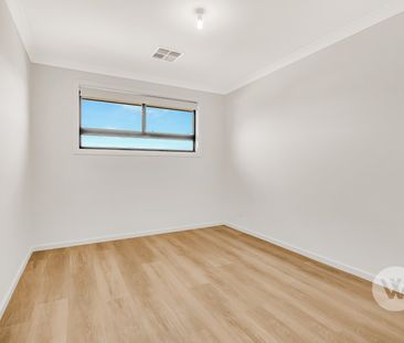 8B Palumbo Avenue, Newton SA 5074 - Townhouse For Rent | Domain - Photo 3