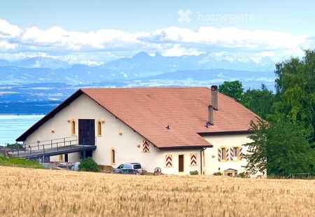 3.5 Zimmer, 90 m² - Photo 5