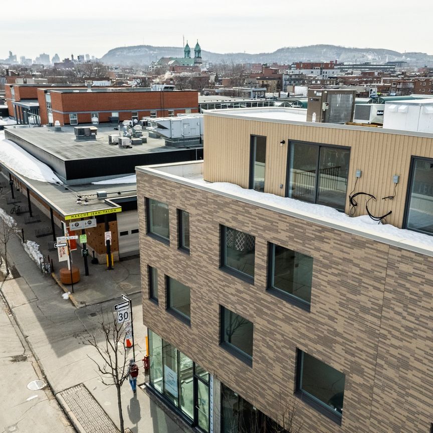 Condo for rent, Montréal (Rosemont/La Petite-Patrie) - Photo 1
