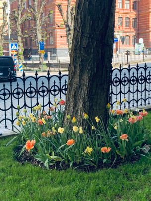 Viktoriagatan, Göteborg - Photo 1