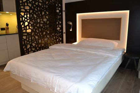 "Komplett möblierte Business-Apartments in Stansstad zu vermieten" - Photo 3