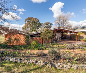 49 Holman Street, Curtin ACT 2605 - House For Rent | Domain - Photo 6