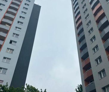 Große 3 Raumwohnung mit Balkon! - Photo 4