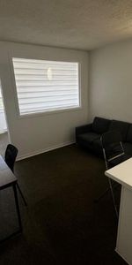 GHETTO MCGILL- 3 1/2 ENSOLLEILLÉ - 1 CHAMBRE FERMÉE - Photo 4