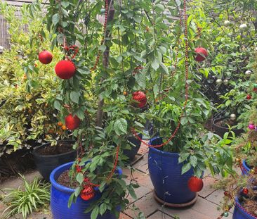 Taylors Lakes - Photo 1