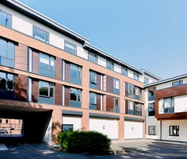 Classic Studio - Photo 6