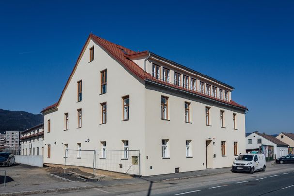 Locker & jung - Zimmer in 3er WG für Erstsemestrige oder WG-Einsteiger:innen - Photo 1