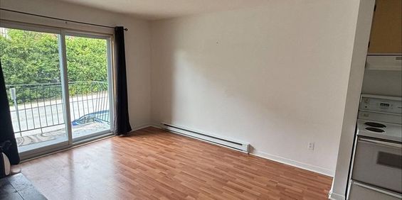 1 CH - 1 SDB - Sherbrooke - $980 /mo - Photo 3