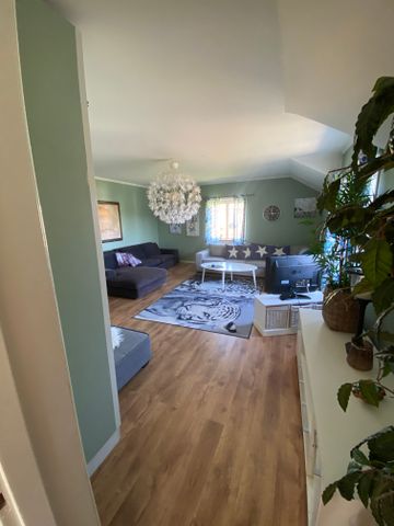 Storsjövägen, Skog - Photo 4