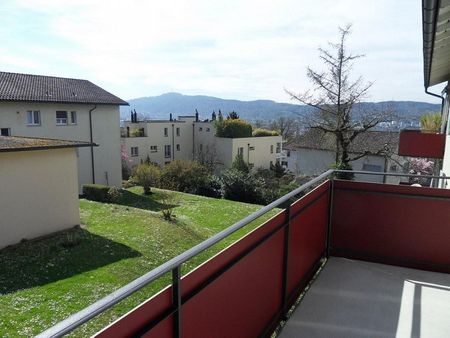 Zwischen Limmat und Rebbergen: Höngg verbindet Natur mit Stadtleben - Photo 4