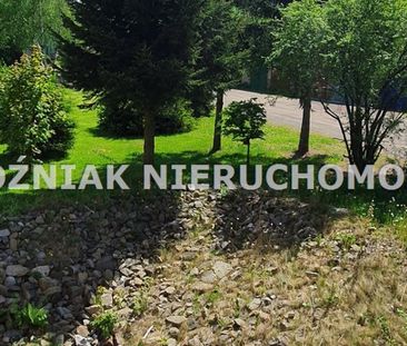 Czarny Bór Mieszkanie na wynajem - Photo 4