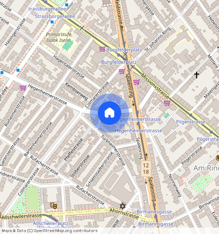 Hegenheimerstrasse **, 4055 Basel