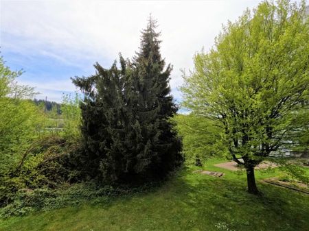 Deine ruhig gelegene Single-Wohnung mit Balkon! - Photo 3