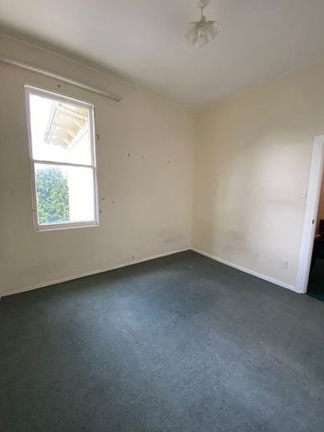 Nice 3 bedroom apartment in Mt Vic - Photo 3