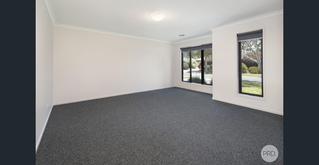 Spacious Family Home In Miners Rest - Photo 1