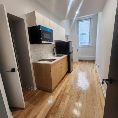 1 CH - 1 SDB - Montréal - $1,245 /mo - Photo 3