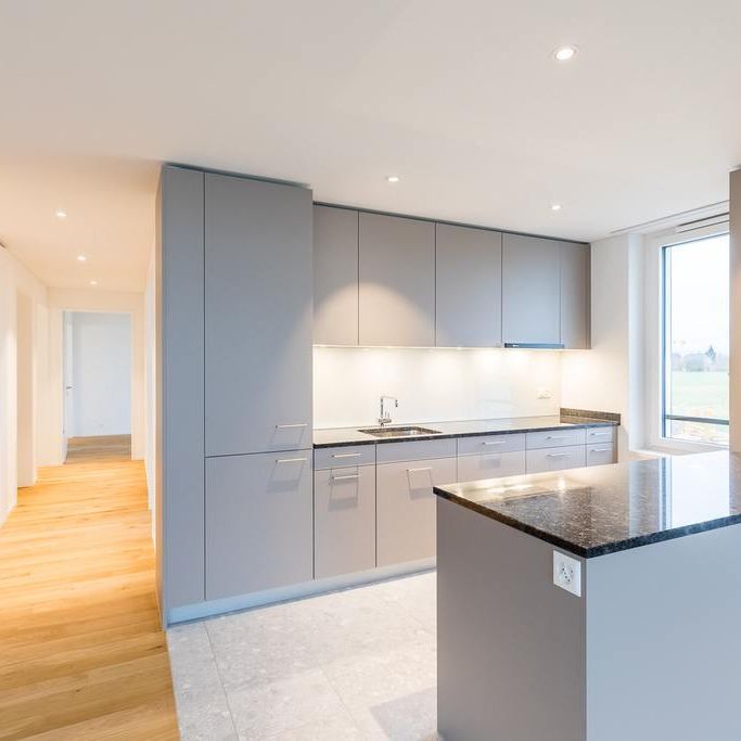 3.5 Zimmer, 90 m², 1. Stock - Foto 1