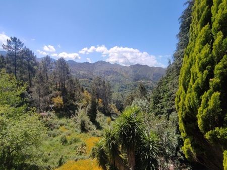 Moradia T4 - Photo 3