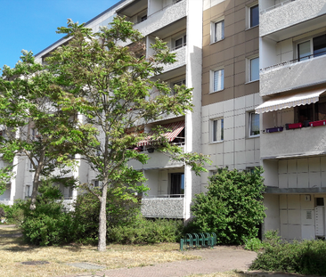 Drei Zimmer, Südbalkon, Dusche - Foto 1