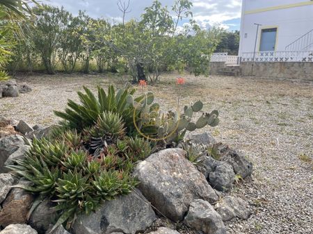 Moradia T3 em Faro - Photo 2