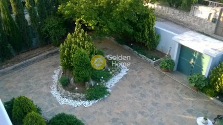 Ενοικίαση, Επαγγελματικό, Αυτόνομο Κτίριο - Photo 5