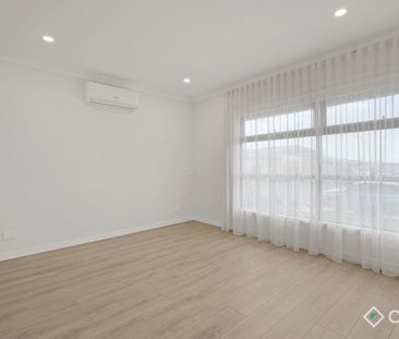 Don't Ignore-a Carora! - Photo 1