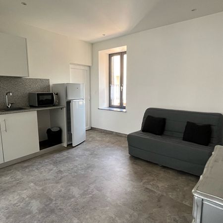 Location Appartement 1 pièce 25m² - Photo 3