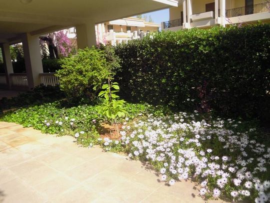 Διαμέρισμα για ενοικίαση Κέντρο (Κηφισιά) - Photo 1