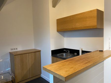 Location Appartement 1 pièce 25m² NANTES 44000 - Photo 2
