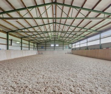 Reithof mit 4-5 Boxen und Reithalle - Foto 5