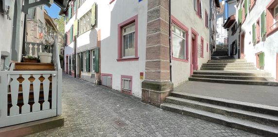 Haus "Zum Laubegg"; In Basel’s schönste Altstadtgasse - Photo 2