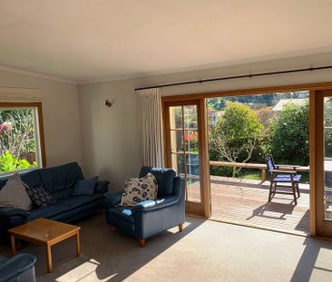 Alfie - Furnished house rental Nelson South - Photo 2