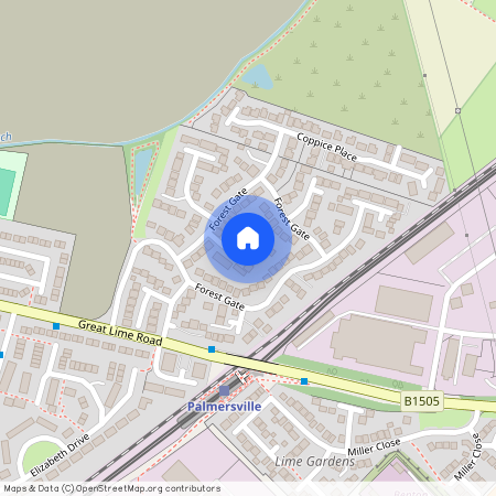 Forest Gate, Forest Gate, NE12