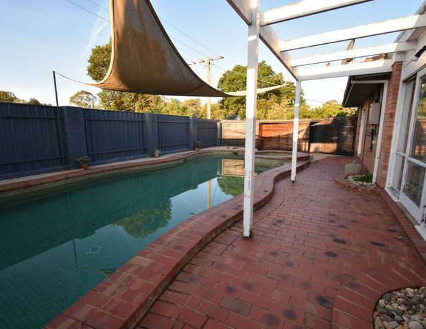 Pool for Summer - Photo 1