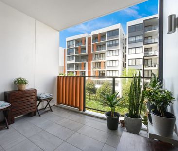 3206/50 Pemberton Street, Botany, NSW 2019 - Photo 5