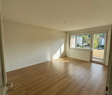 8952 Schlieren - Photo 6