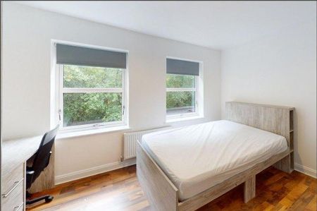 4 bedroom house share to rent - Photo 2