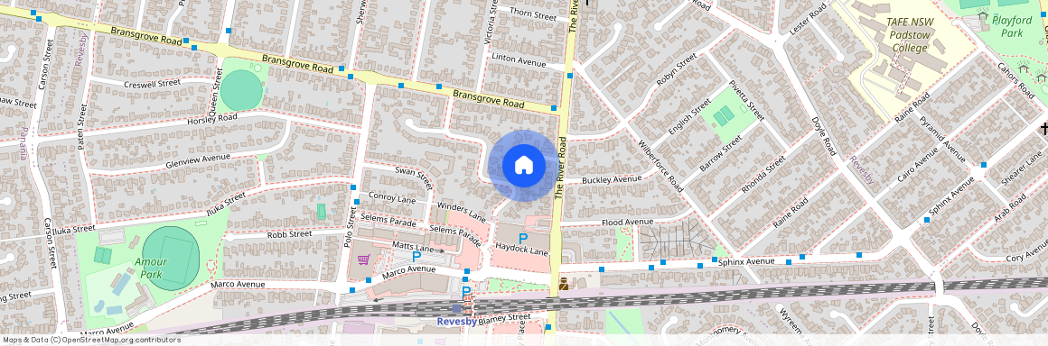 29 Simmons Street, NSW 2212, Revesby