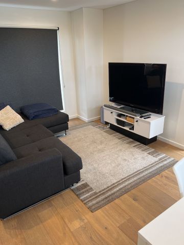 Executive Townhouse Living - Photo 4