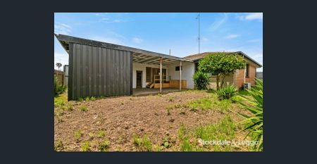 Fresh As A Daisy - Photo 2