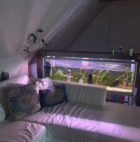 Västra Strö, Eslöv - Photo 4