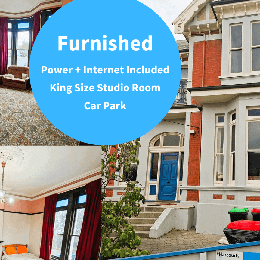 King-Sized Studio Living - Sign On Bonus! - Photo 1