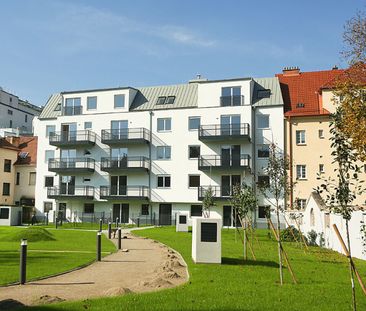 Traumhafte 3-Zimmer Gartenwohnung in 1210 nahe der Donauinsel! - Foto 6