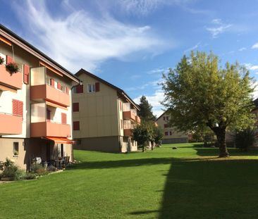 "Dachwohnung in grüner Umgebung" - Foto 1