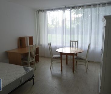 Location Appartement 1 pièce 30m² LA TRONCHE 38700 - Photo 1