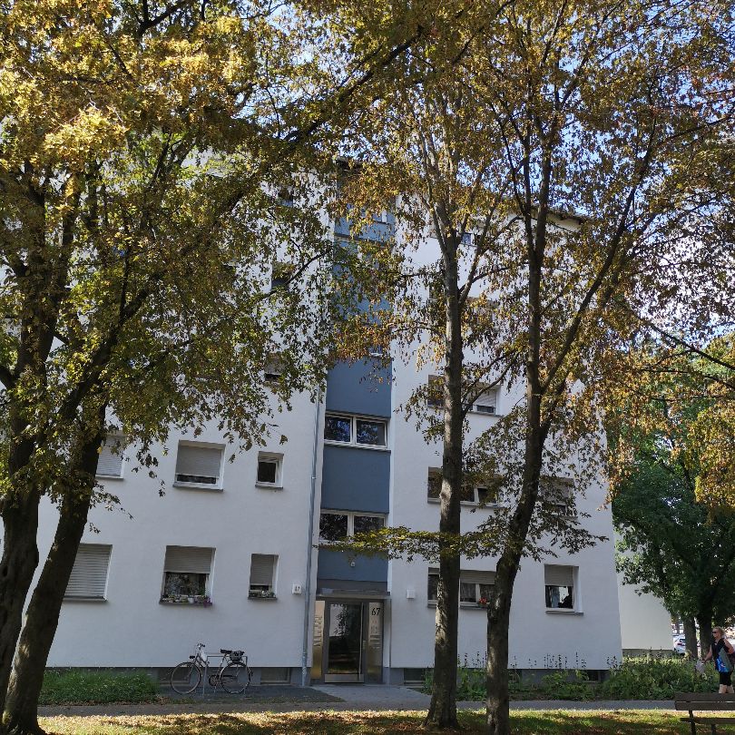 barrierefreie Wohnung im EG mit Aufzug - saniert in Feudenheim - Photo 2